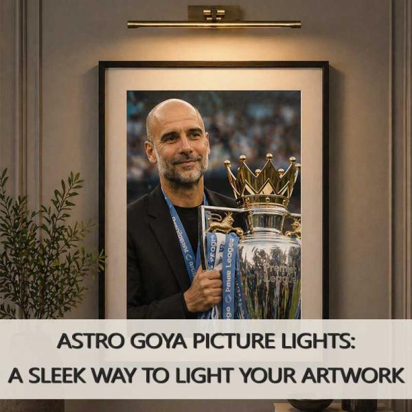 Astro Goya Picture Lights: a Sleek Way to Light Your Artwork