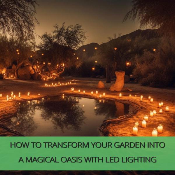 How to Transform Your Garden into a Magical Oasis with LED Lighting